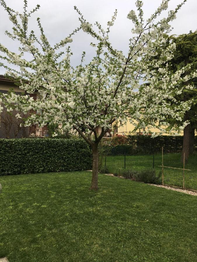 Appartamenti Francesco Peschiera del Garda Exteriér fotografie